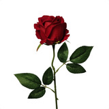 Flor Rosa Vermelha Artificial Aveludada Haste