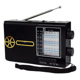 Radio Parlante Bluetooth Usb Sd Carga Solar Am-fm Color Negro