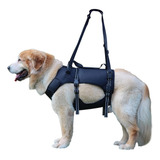 Arnes De Mascota Discapacitada  Ajustable  Correa Negro Xl