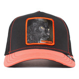 Gorra Goorin Bros Black Panther Coleccion Reflectiva