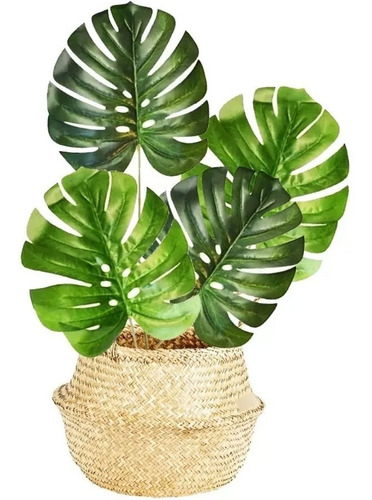 Planta Artificial Hoja Costilla De Adan Deco Interiores 61cm