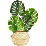 Planta Artificial Hoja Costilla De Adan Deco Interiores 61cm