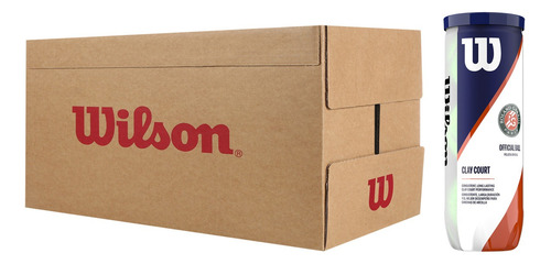 Caja De Pelotas Tenis Wilson Roland Garros X3 - 24 Tarrros