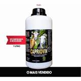 Crescimento Engorda Caprinos Ovinos Via Oral Ovino Capri 1l