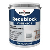 Recublock Cimientos Bloqueador De Humedad 12 Kg - Kromacolor