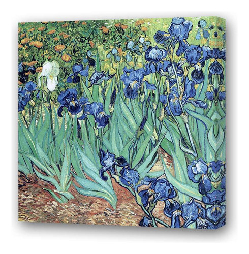 Cuadro 30x30cm Van Gogh Lirios Pintura Flores Arte
