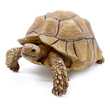 Ppclion Estatua De Tortuga Sulcata Colección De Figuras Deco