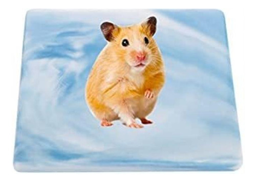 Hamster Summer Cool Plate Placa De Disipación De Calor De
