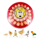 Incubadora De 30 Huevos, Automatica Maquina Incubadoras Aves