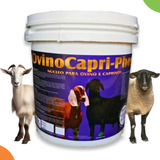 Ovinocapri Núcleo Monensina Sodica Cabras Ovios Caprinos 5kg