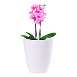 Vaso De Plantas Artificial Pequenos Para Decoração 20x23 Cm