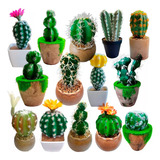 Suculenta Cactus Decorativos 5 Adornos Macetero Flores Hogar