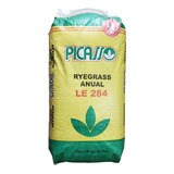 Semillas Cesped Ryegrass Anual Estanzuela 284 25kg Picasso