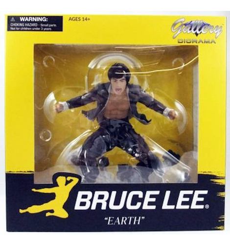 Figura Bruce Lee  Earth  - Diamond Gallery Diorama 