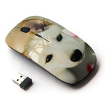 Mouse Inalambrico Koolmouse Optico (perro De Canaan) Usb 2.0