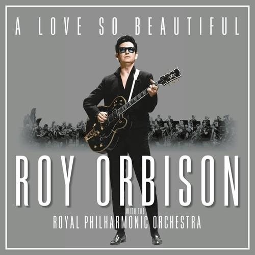 Vinilo Roy Orbison Love So Beatiful Lp Import