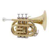 Trompeta Pocket Aureal Atr-6500ii Si Bemol Laqueado, Estuche
