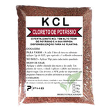 1kg De Adubo Fertilizante Kcl Cloreto De Potássio
