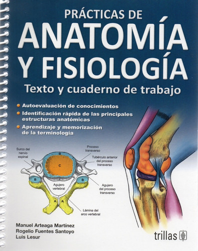 Prácticas De Anatomía Y Fisiología -texto Y Cuaderno Trabajo