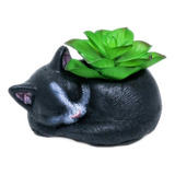 Vasinho Cachepot Gatinho Preto P Planta Suculenta Ou Cactos