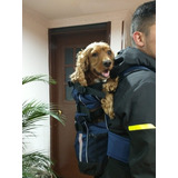 Mochila Transportadora Para Perros Pequeño,mediano,grande