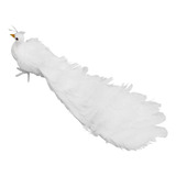 Pájaro De Simulación De Blanco, Modelo De Pájaro Con