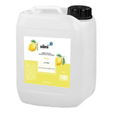 Jabón Líquido Antiséptico Para Manos Aroma Citrus 20l