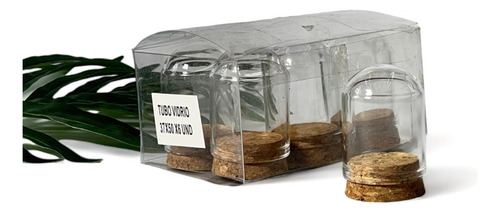 Botella Vidrio 37x50 Caja X6 | Decorativa | Tubo Vidrio