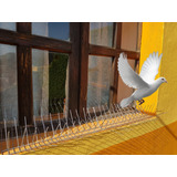 Profesional Bird Spikes Anti-pigeons 20pcs/50cm Stainless 