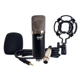 Microfono Condenser Lane Bm-700 Filtro Araña Cable Estudio Color Negro Con Plateado