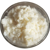 Doação Kefir De Leite + Brinde + Manual + Frete Grátis