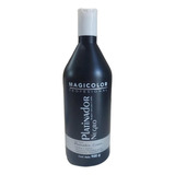 Shampoo Negro Matizador Cabello Gris Plata Gray Platina 1 Lt
