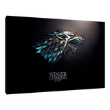 Cuadros Poster Series Game Of Thrones S 15x20 (tst (3)