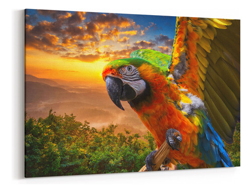 Cuadro Canvas Decorativo Guacamaya Atard 1042840942 40x60 Cm