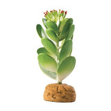Planta Para Terrarios Reptiles Exo Terra Jade Cactus