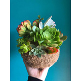 Kokedama Suculentas