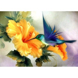 Colibrí 20x30 Diamond Painting Bordado Pintura Diamante