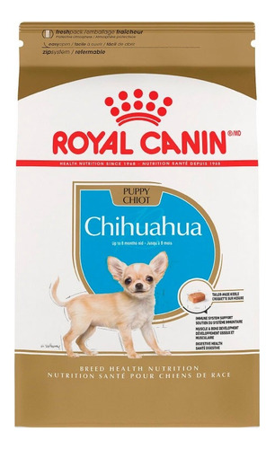 Royal C Chihuahua Puppy 1.14 Kg