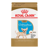 Royal C Chihuahua Puppy 1.14 Kg