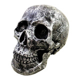 Cranio Caveira Esqueleto - Prateado - Resina - Tamanho Real