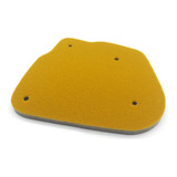 Esponja De Filtro De Aire Scooter Para Wy Bws 50 Wy50 Bws100