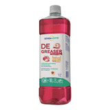 Degreaser Antibacterial Manzana Canela Stanhome 1 L