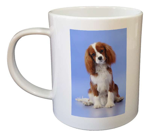 Taza De Plastico Perros 3 Cachorro Pitbull Frente