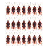 Regalo De Cumpleaños Con Simulación De Cucaracha Adulta, 100