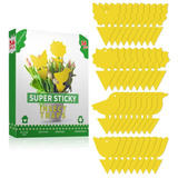 36 Pcs Sticky Traps For Fruit Fly, Whitefly, Fungus Gnat, Mo