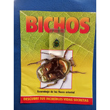 Coleccion Bichos Escarabajo De Las Flores Oriental Nuevo