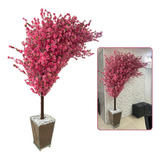  Árvore Curvada Cerejeira Pessegueiro Rosa C/ Vaso Decorativ