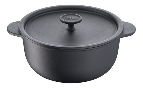 Cacerola Tefal 24cm Tradition Hierro Antiadherente Induccion