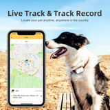 Petbiz Localizador De Mascotas Gps, Localizador De Perros En