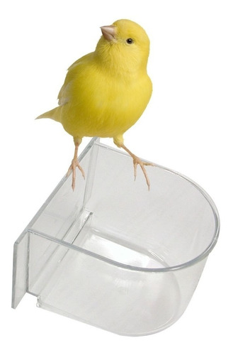 Comedero Plástico Para Aves Periquitos Loros Pájaros
